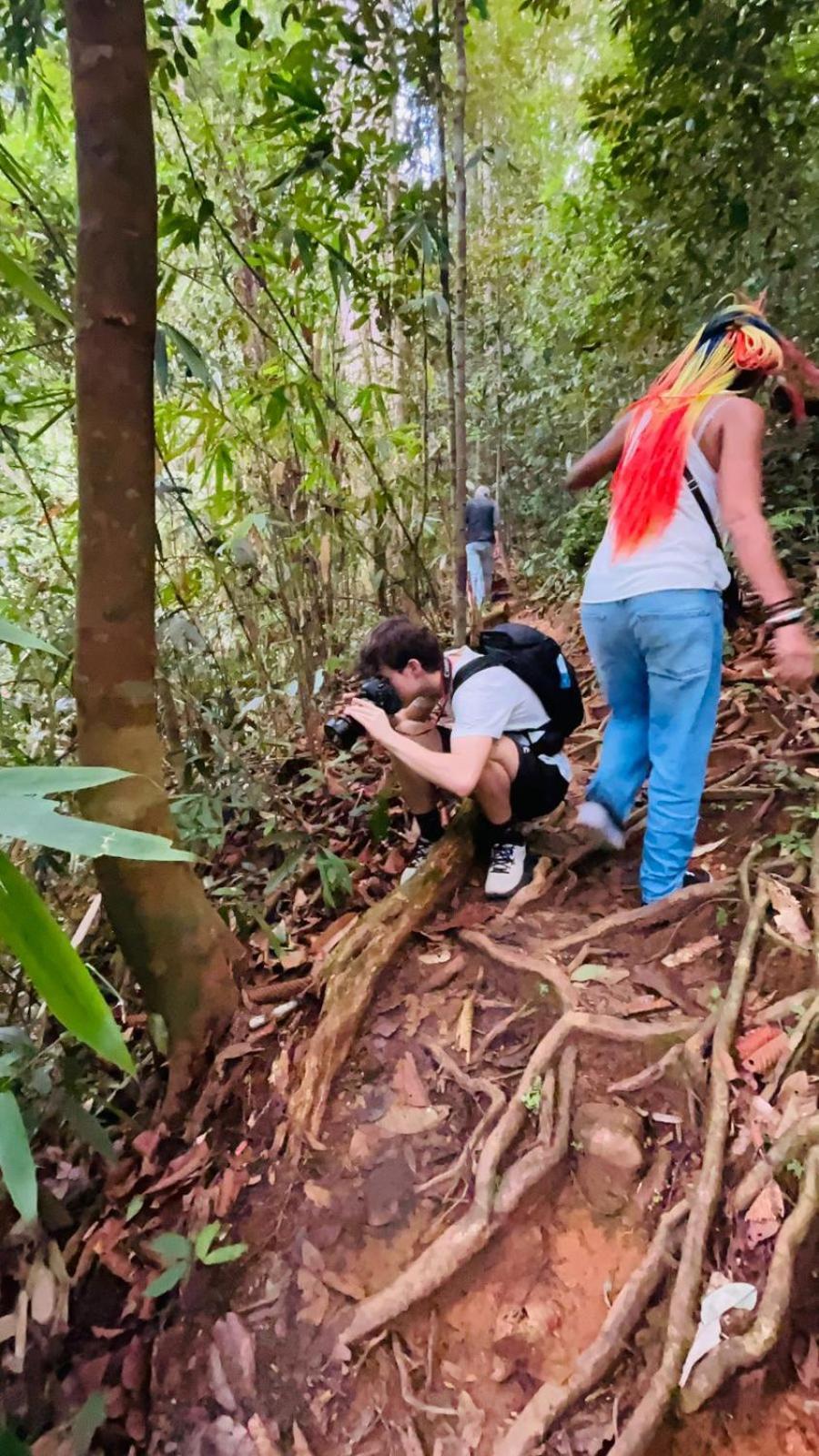 Rain Forest Star Deniyaya Exteriör bild